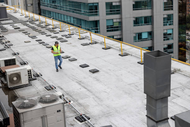 Best Roof Maintenance and Cleaning  in Happy Valley, CA