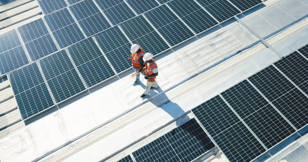 Best Roof Moss and Algae Removal  in Happy Valley, CA